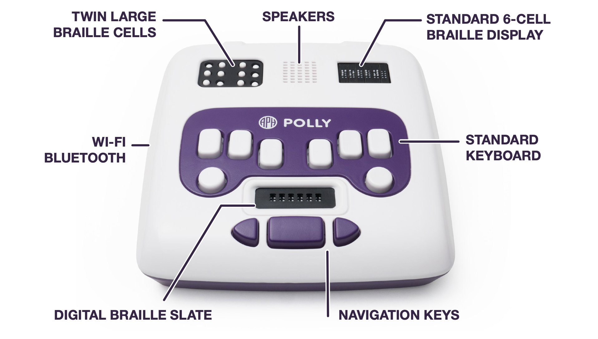 Image of the top face of the Polly with the following component labels: twin large braille cells on the top left, speakers on the immediate right of the twin large braille cells, standard 6 cell braille display on the top right, standard keyboard in the centre, digital braille slate under the standard keyboard, navigation keys under the digital braille slate, and wi-fi & Bluetooth.